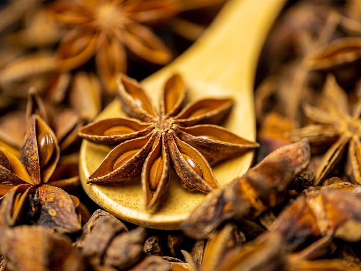 Star Anise Benefits and Uses- चक्रफूल के फायदे, औषधीय गुण, लाभ और नुकसान